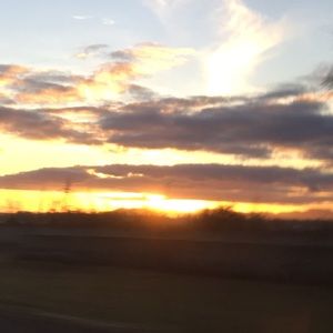 Meet your Posher, Camille